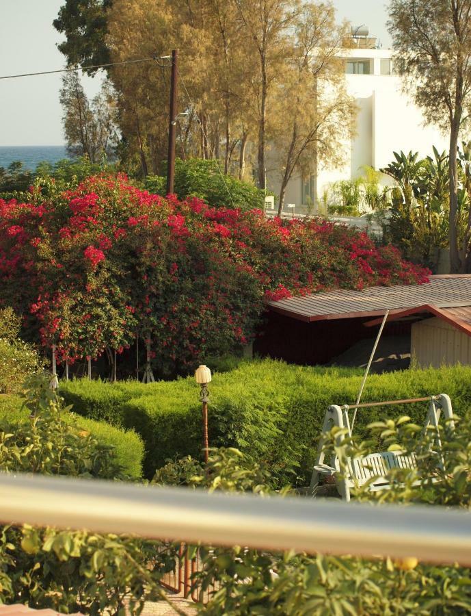 Moon-Light Studio Hotel Larnaca Luaran gambar