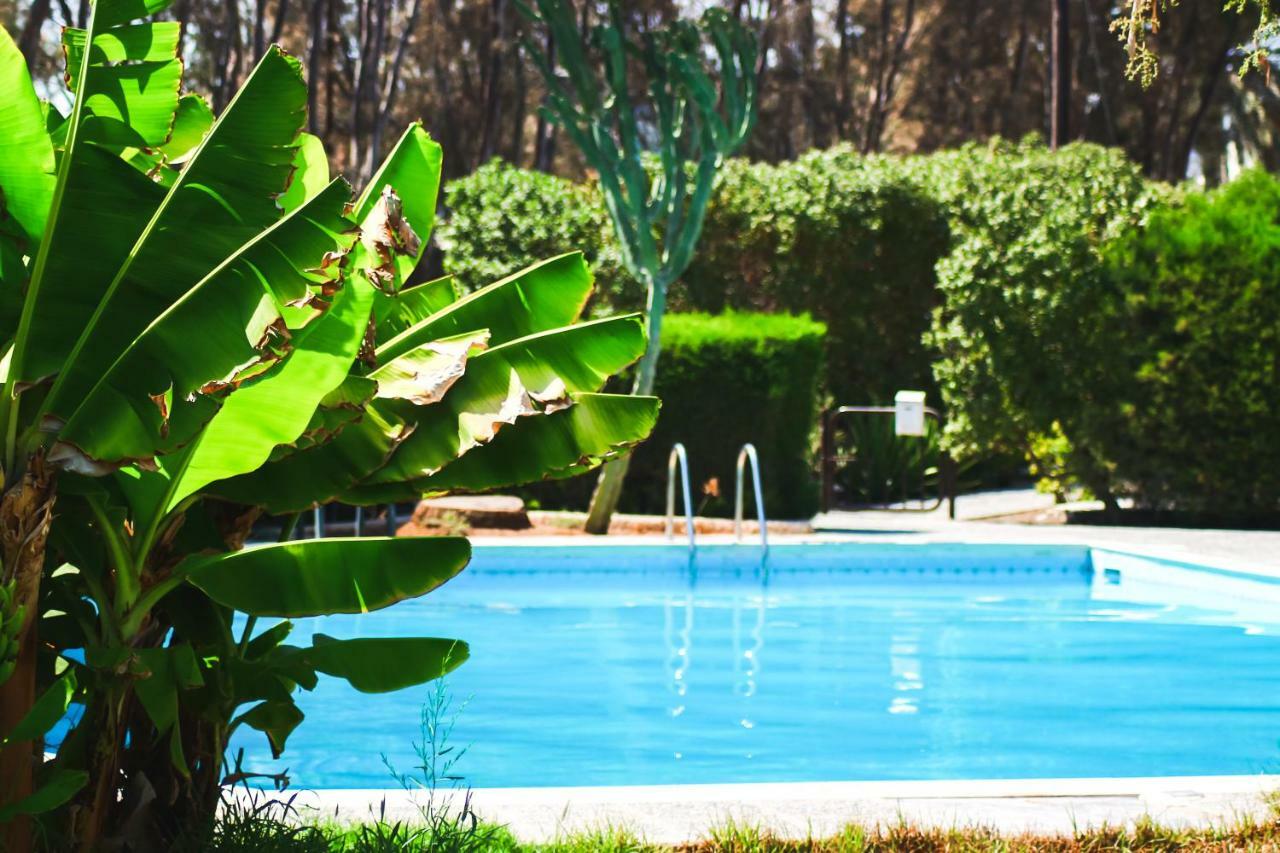 Moon-Light Studio Hotel Larnaca Luaran gambar